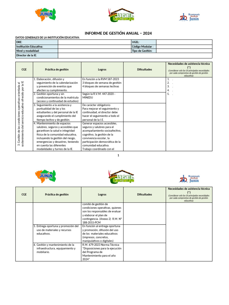 Informe de Gestión Anual 2024 | PDF