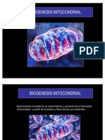 Bio Genesis Mitocondrial e Insulin Ores Is Ten CIA