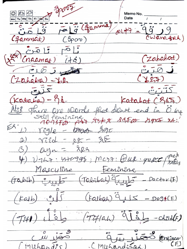 Arabic | PDF