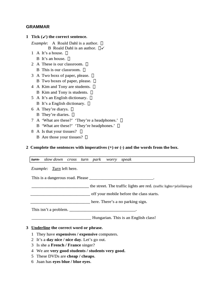 English Grammar Exercises for Beginners | PDF