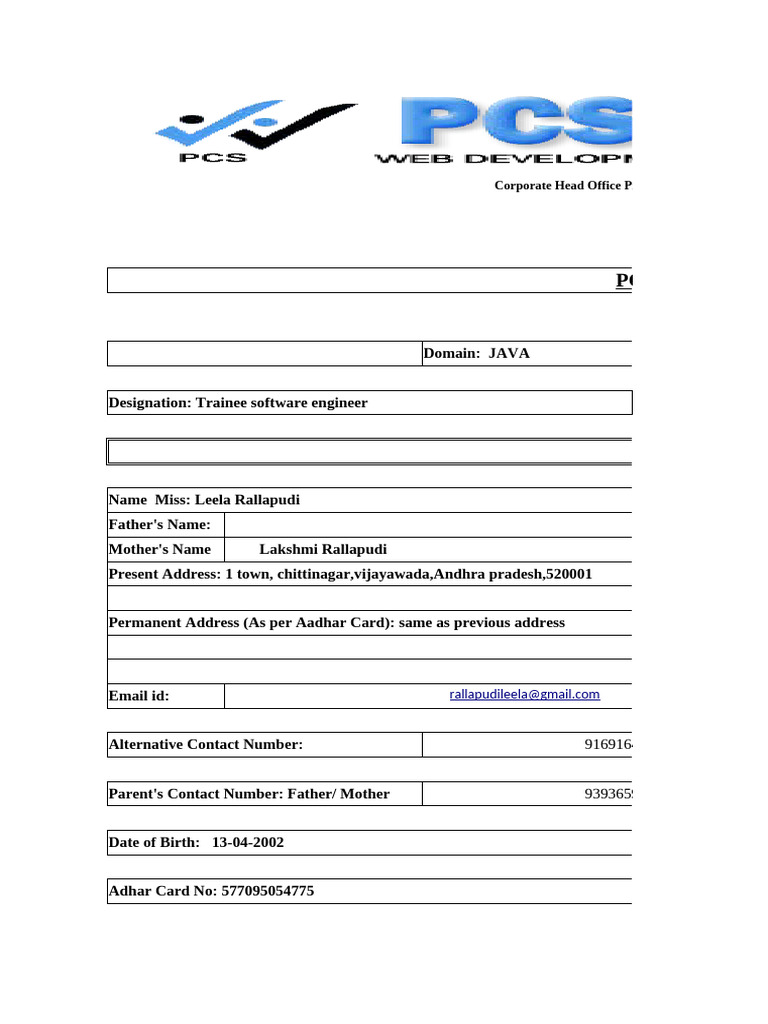Trainee Software Engineer Profile | PDF