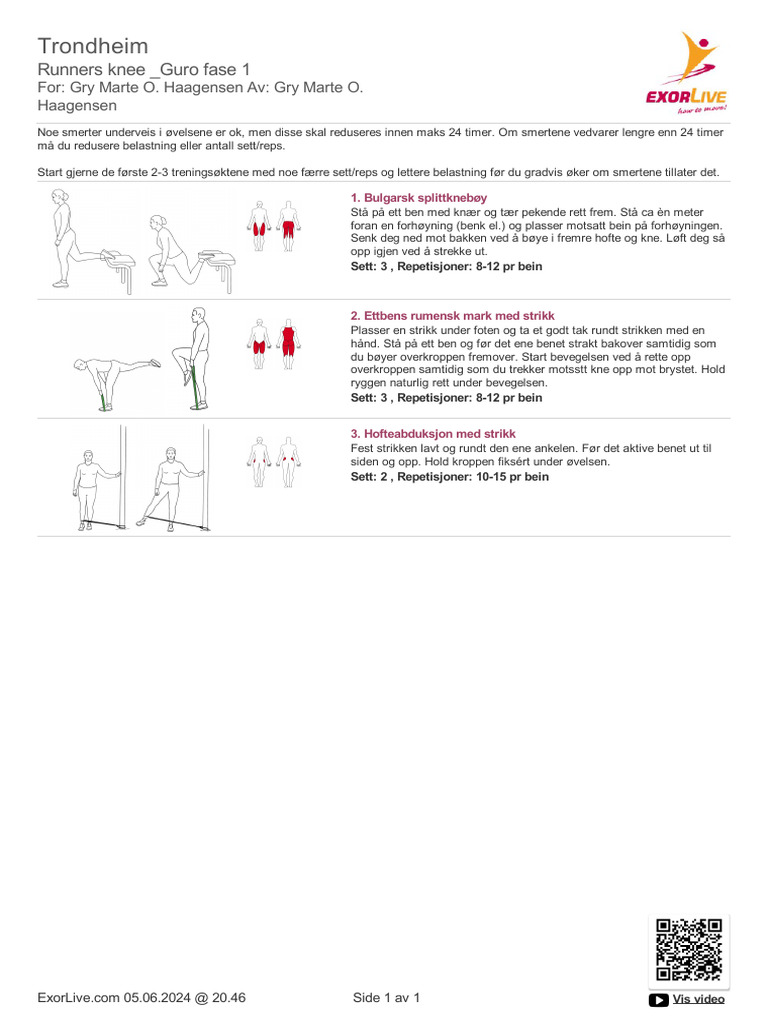ExorLive Workout | PDF
