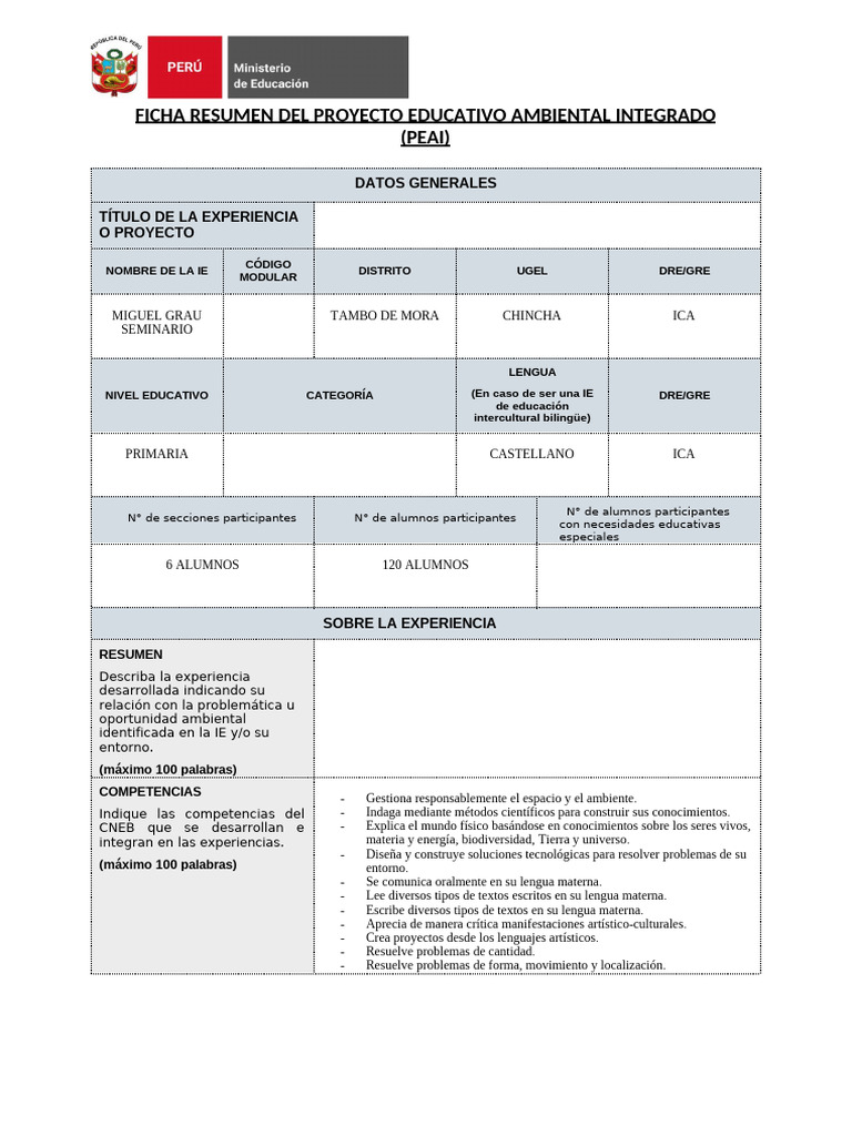 Ficha Resumen del PEAI 2025 | PDF | Entorno natural | Multilingüismo