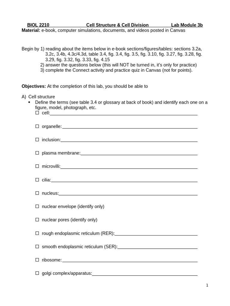 Lab+3B+Cell+Structure+%26+Cell+Division+%28instructions%29 | PDF ...