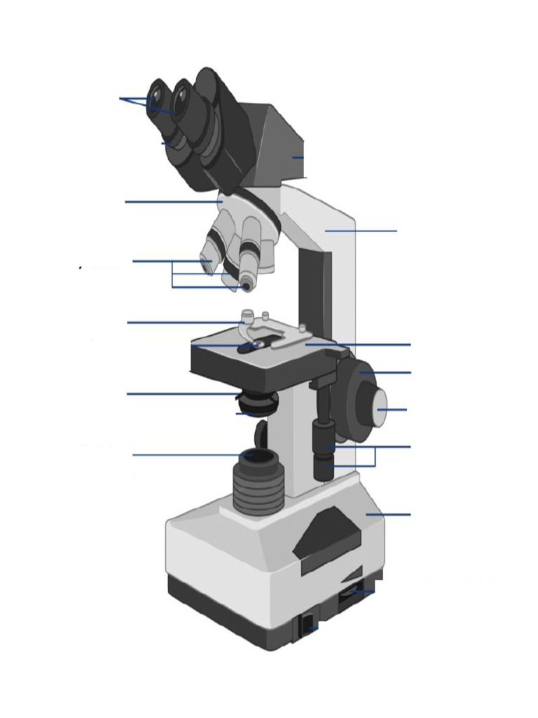 Lab+3A+%26+3B+%28practice+figures%29 | PDF