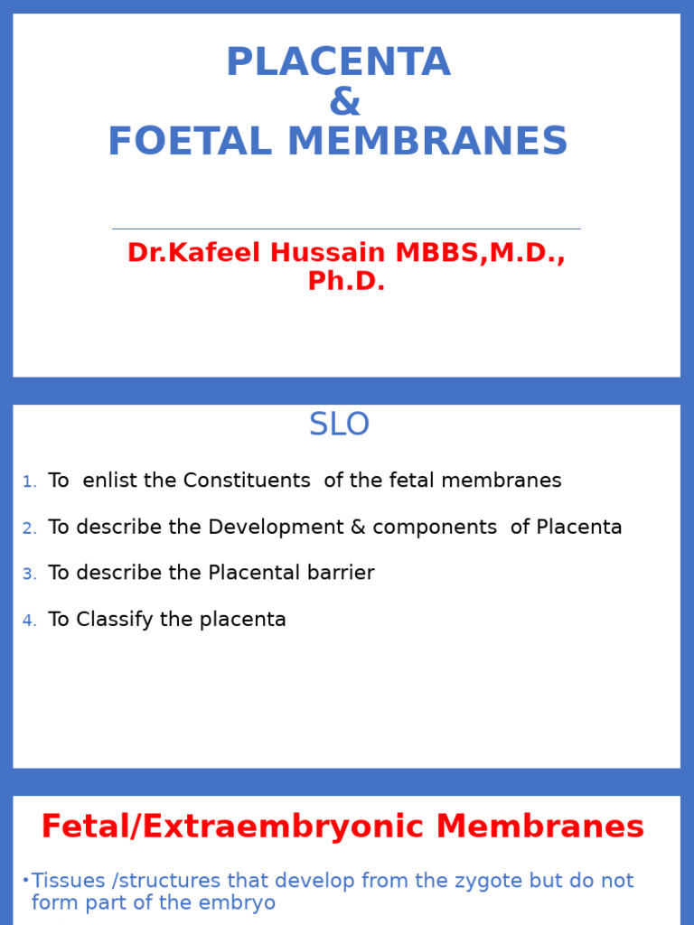 Placenta Development and Structure | PDF | Placenta | Reproduction