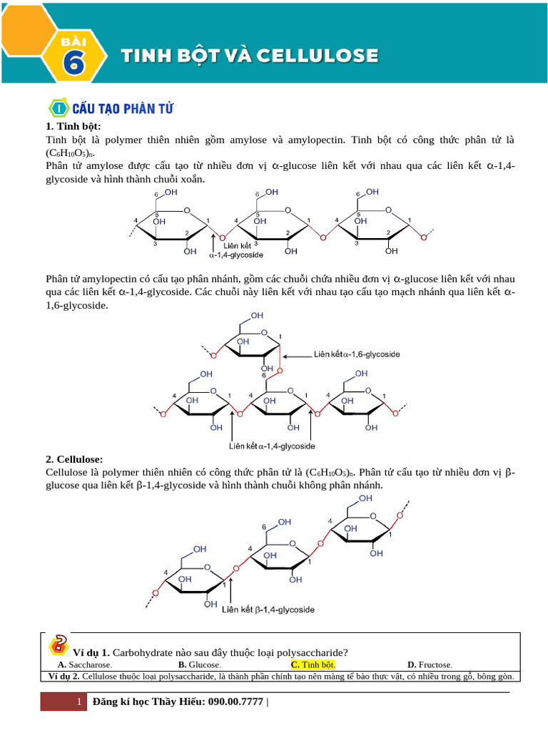 Bài 6. Tinh B T Và Cellulose | PDF