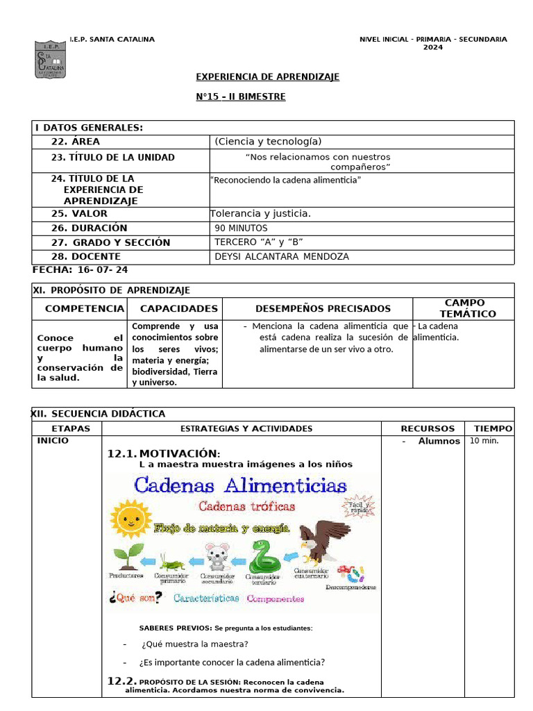 Sesion 1 - 15 Julio | PDF | Educación de la primera infancia | Aprendizaje
