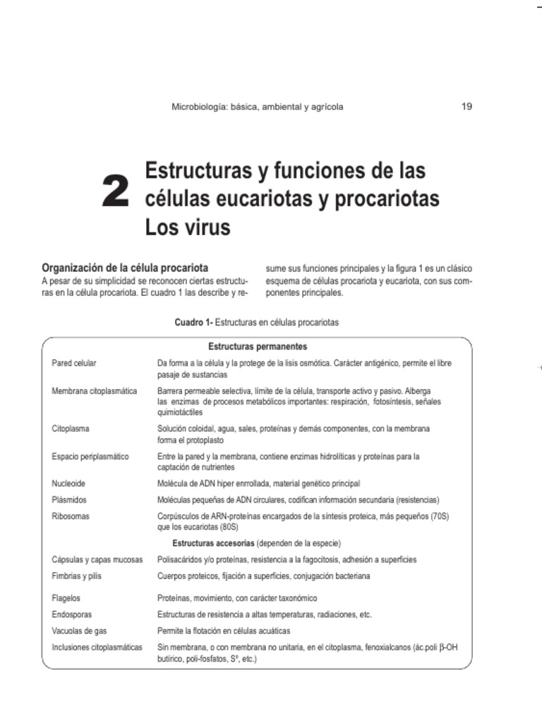 Estructura y Funciones Procariotas - Virus | PDF | Biología Celular ...