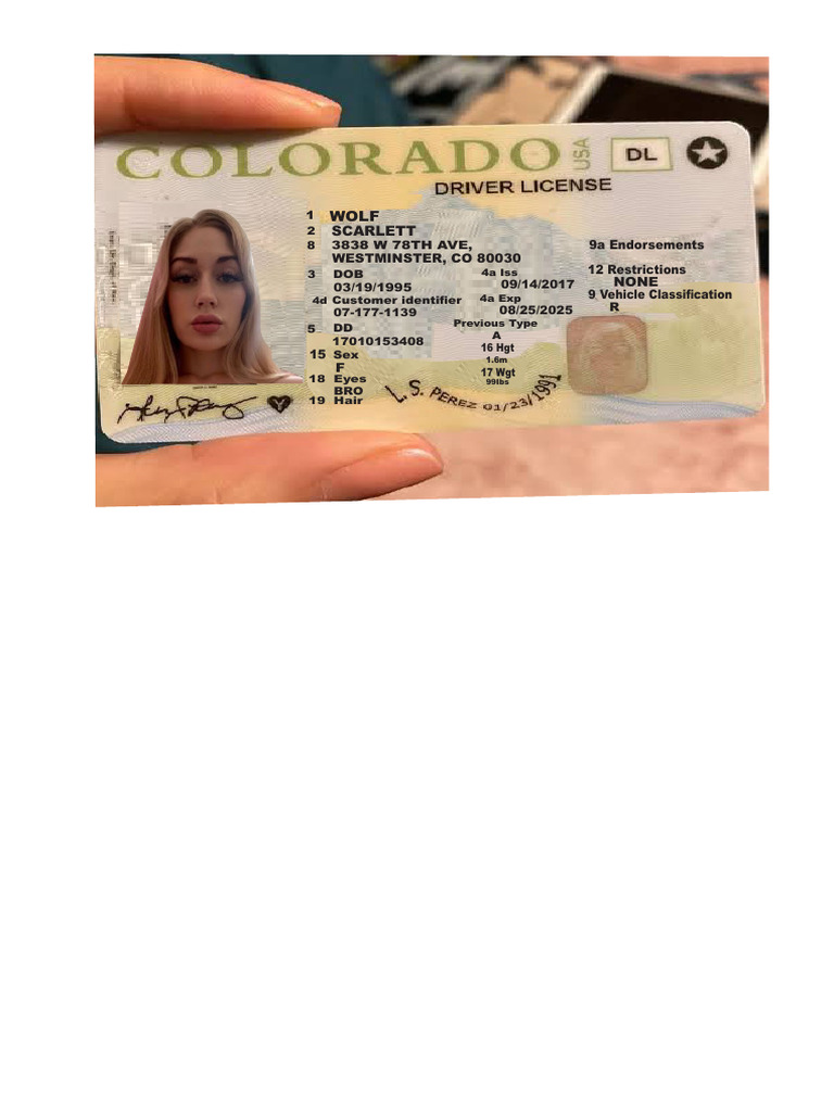 Id Card | PDF