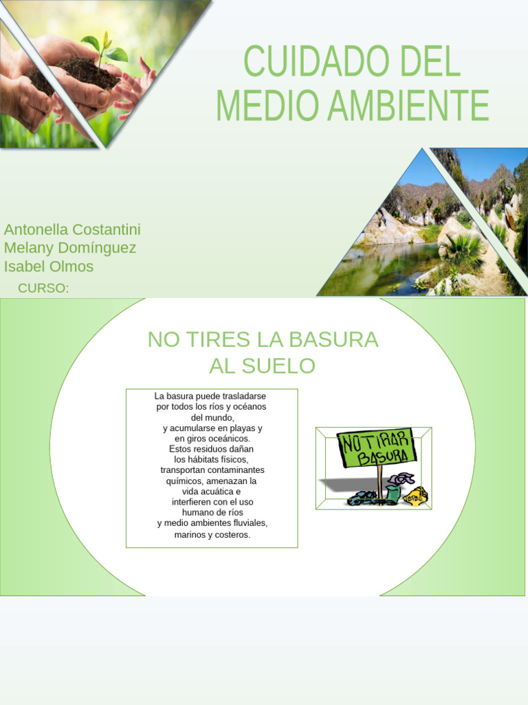 cuidado del medio ambiente | PDF
