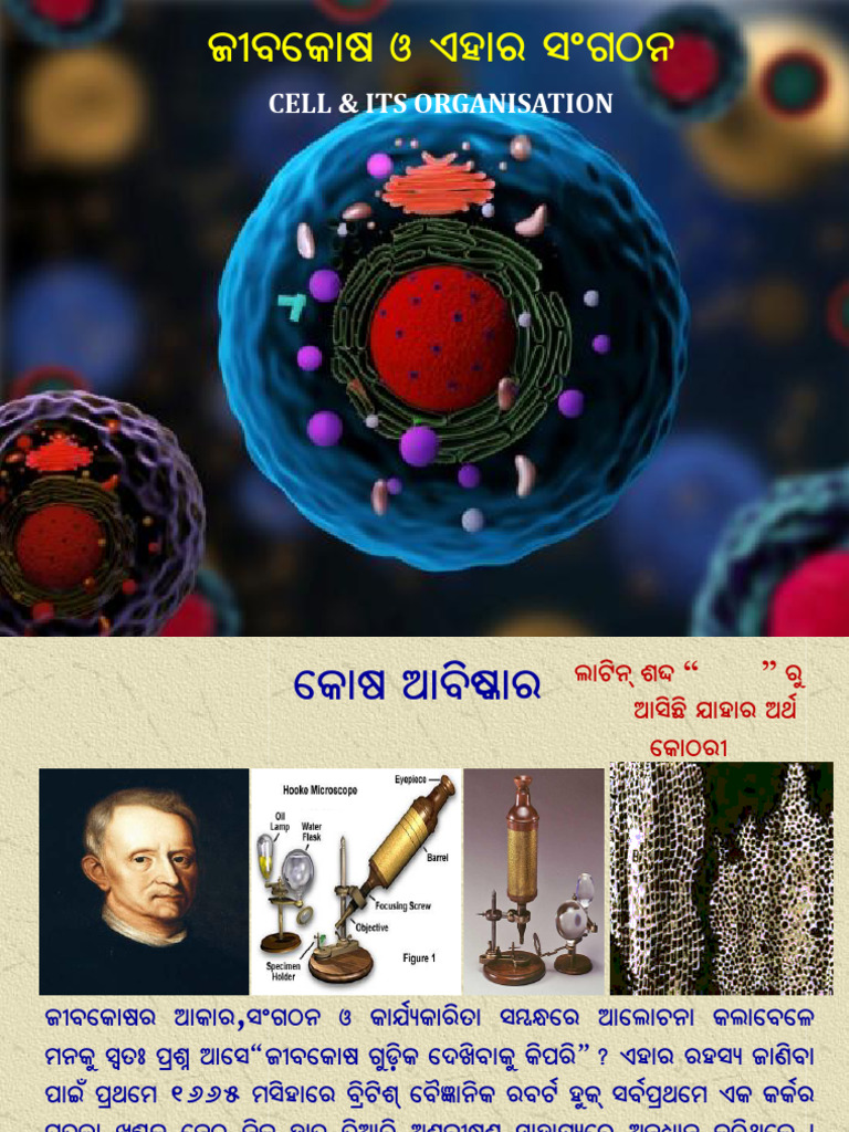 Cell | PDF