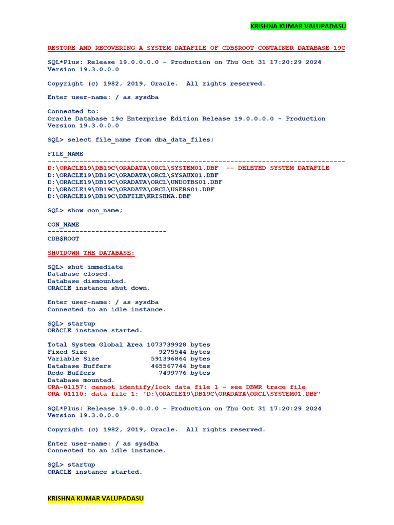 Restore and Recover A Lost System Datafile Oracle CDB - 19c | PDF ...