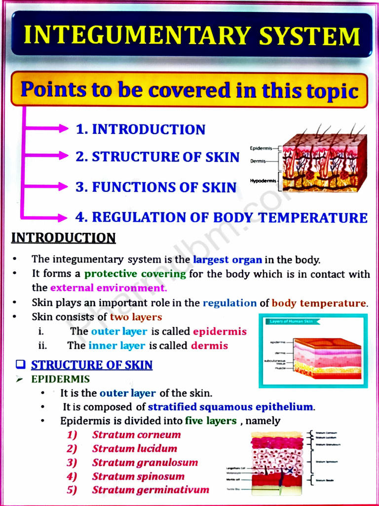 HAP Unit 2 | PDF