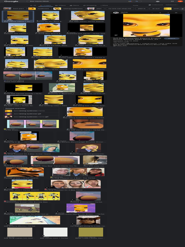 Bee Meme Tiktok - Google Search | PDF | World Wide Web | Internet & Web
