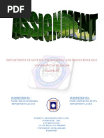 Download Assignment on Computer Virus and Its Protection Submitted by Alsan Sharia by Alsan Sharia Rana SN80952163 doc pdf