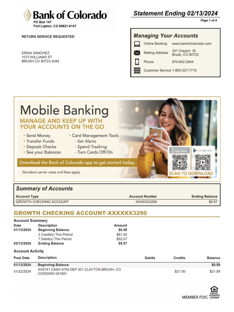 Checking Account Statement - 02 - 13 - 2024 Acct - 4110173290 - ERIKA ...