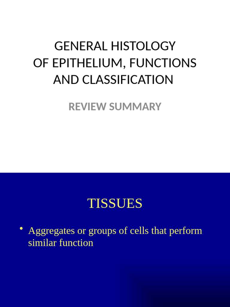 Glandular Epithelium and Secretory Functions | PDF | Epithelium ...