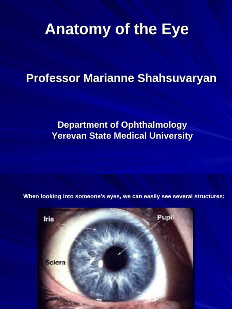 Anatomy of The Eye - Color | PDF | Retina | Cornea