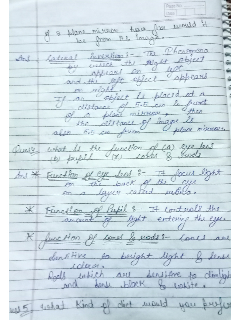Science Chapter13 Light | PDF