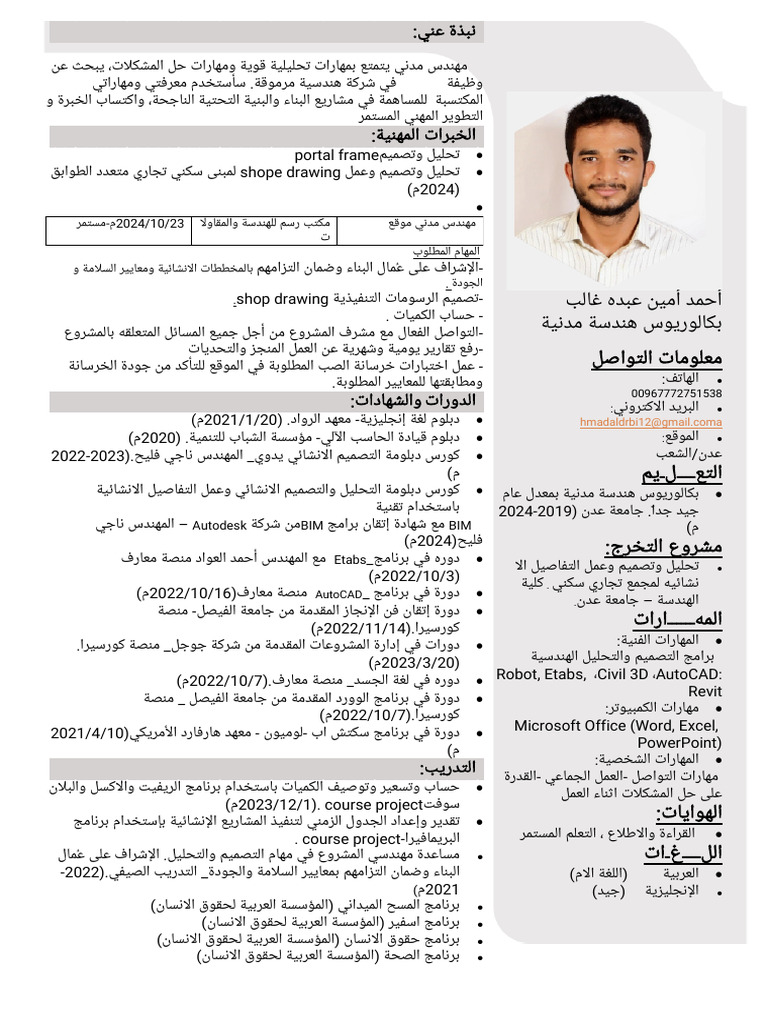 cv.AHMED AMEEN | PDF