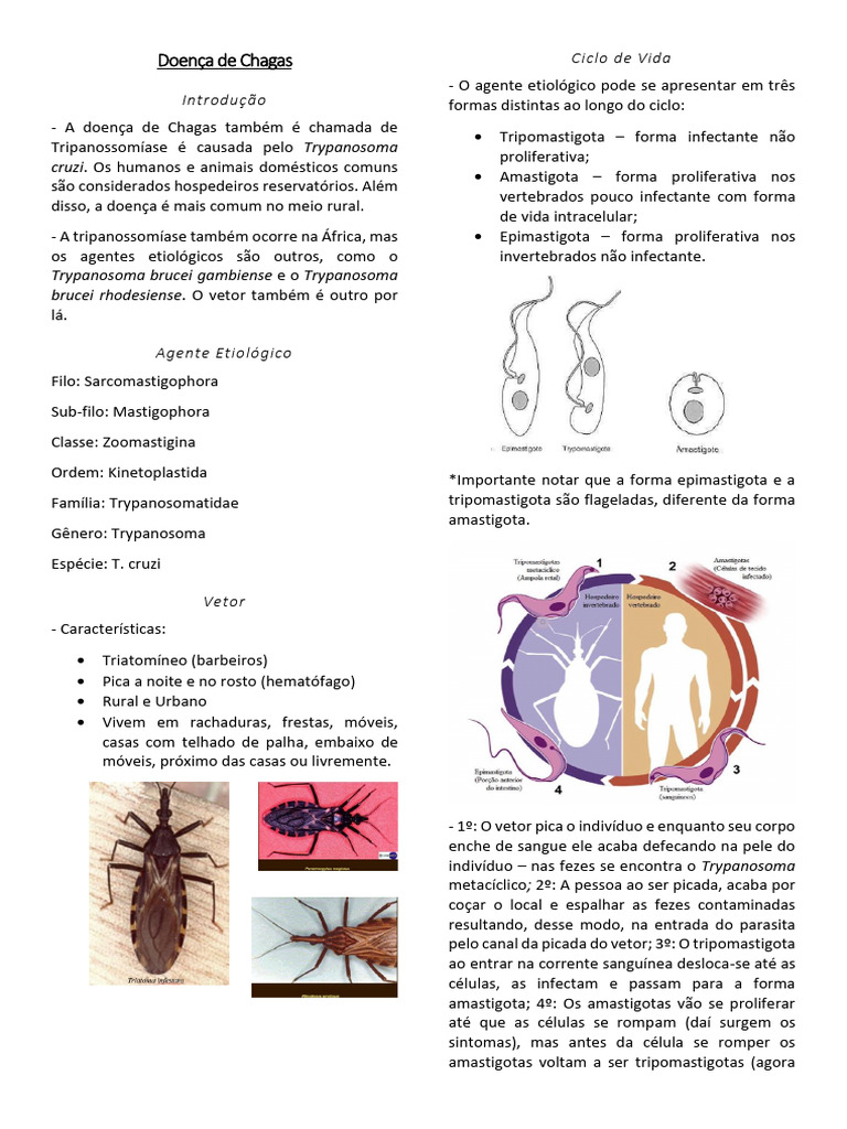 Aula 6 - Doença de Chagas - RESUMO | PDF | Causas de morte | Ciências ...