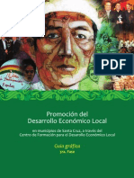 Guía Grafica: Promoción del Desarrollo Económico Local