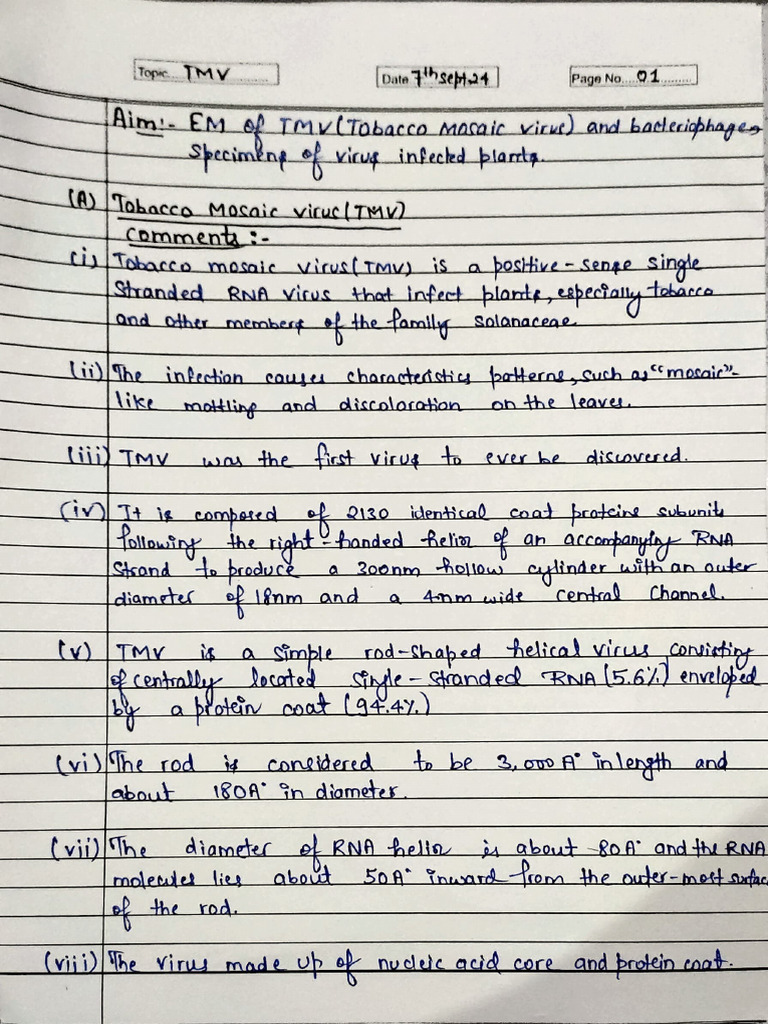 BOTANY PRACTICAL TMV-01 | PDF | Health Sciences | Proteins