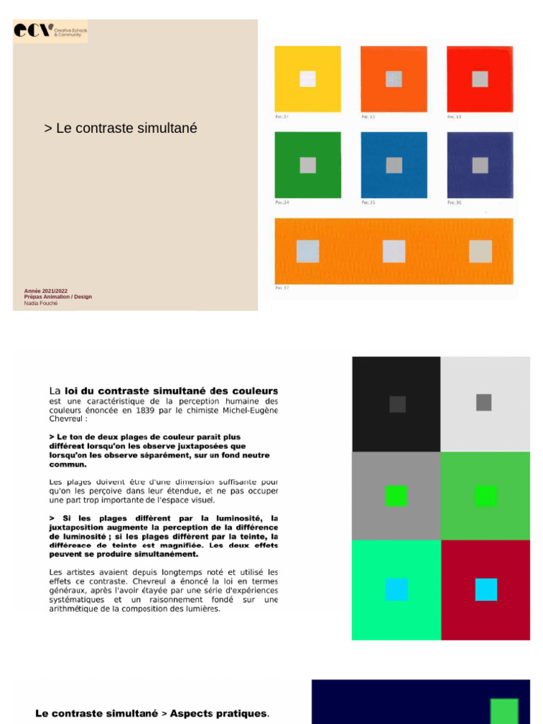 Contraste Simultané et Perception Visuelle | PDF | Gris | Couleur
