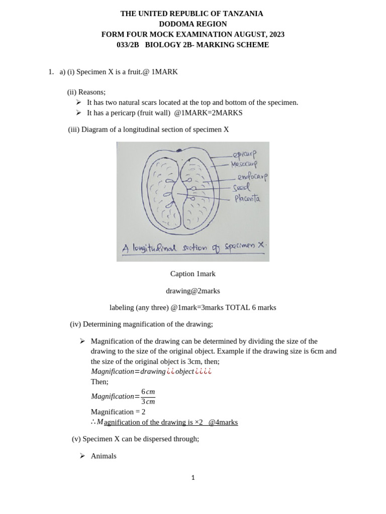Biology 2b - Scheme | PDF | Seed | Germination