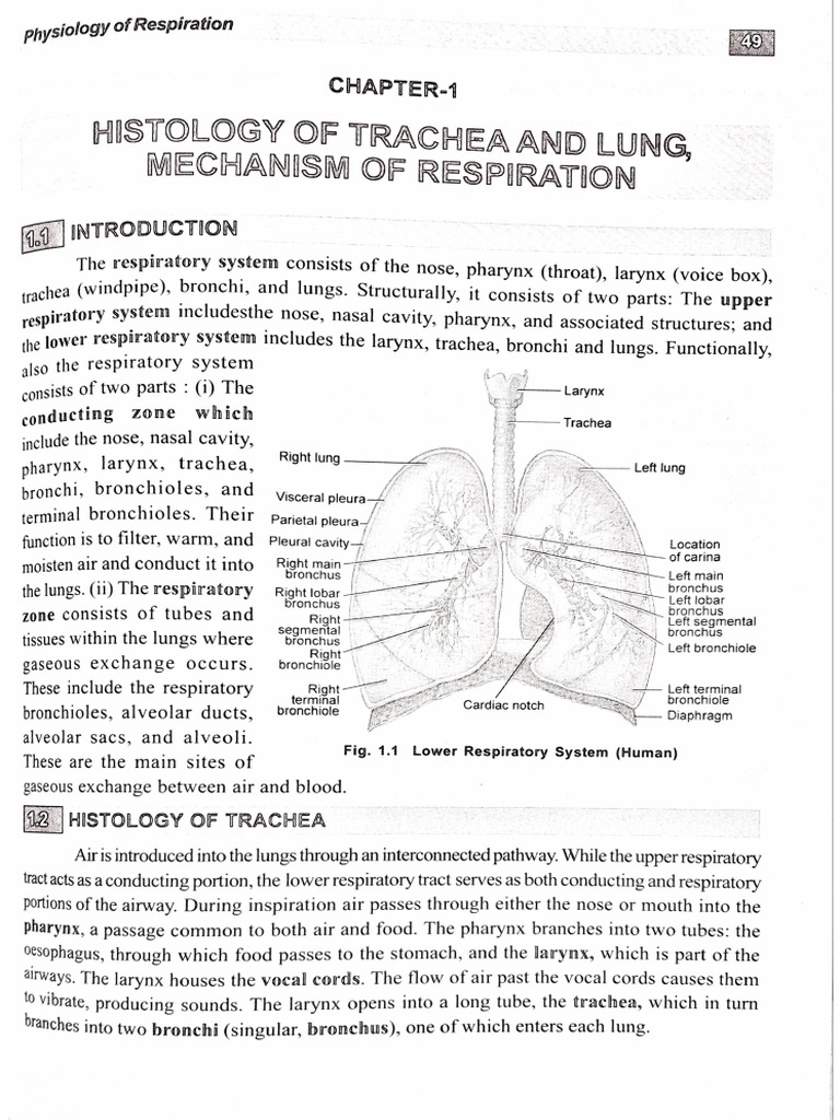 Note on mechanism of respiration pdf
