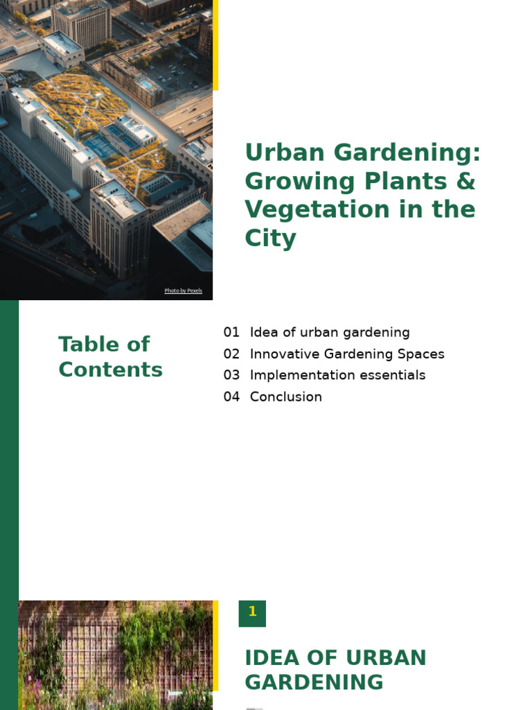 Urban Gardening: City Planting Guide | PDF | Urban Agriculture | Gardens