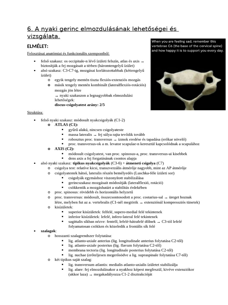 Nyaki Gerinc | PDF