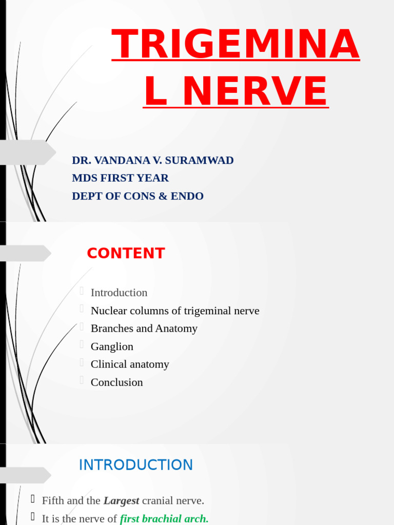 Trigeminal Nerve | PDF | Human Nose | Human Head And Neck
