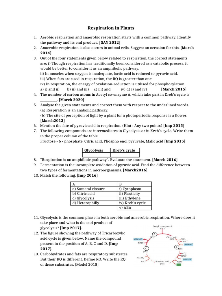 Scert Bio Pyq Respiration in Plant1 | PDF | Cellular Respiration ...