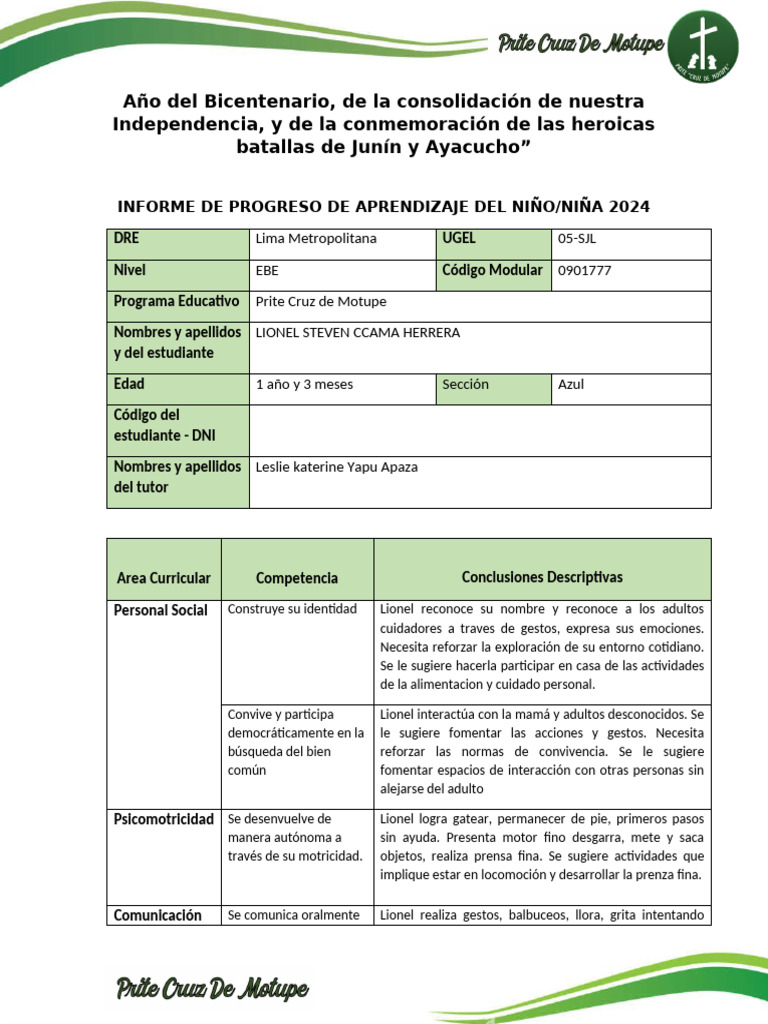 Informe Final Lionel Ccama | PDF | Comunicación | Sicología
