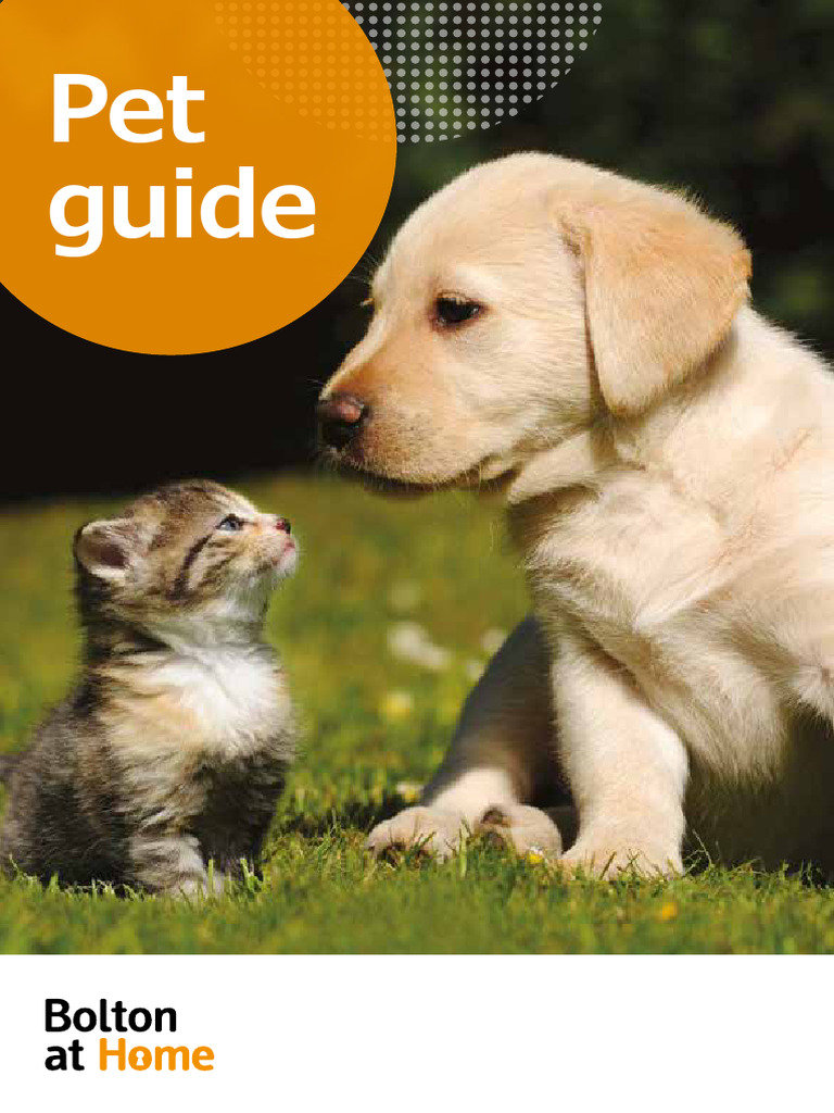 Essential Pet Ownership Guide | PDF | Pet | Dogs