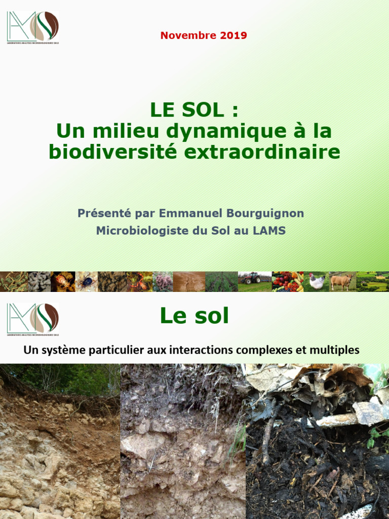 Biodiversité et rôle du sol par E. Bourguignon | PDF | Sol (pédologie ...