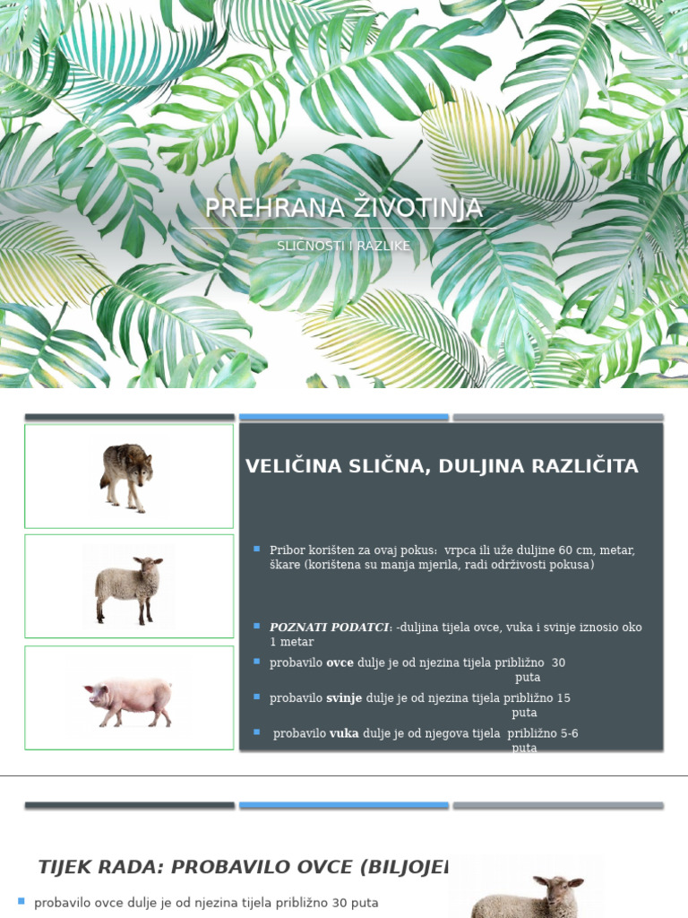 Prehrana Životinja | PDF