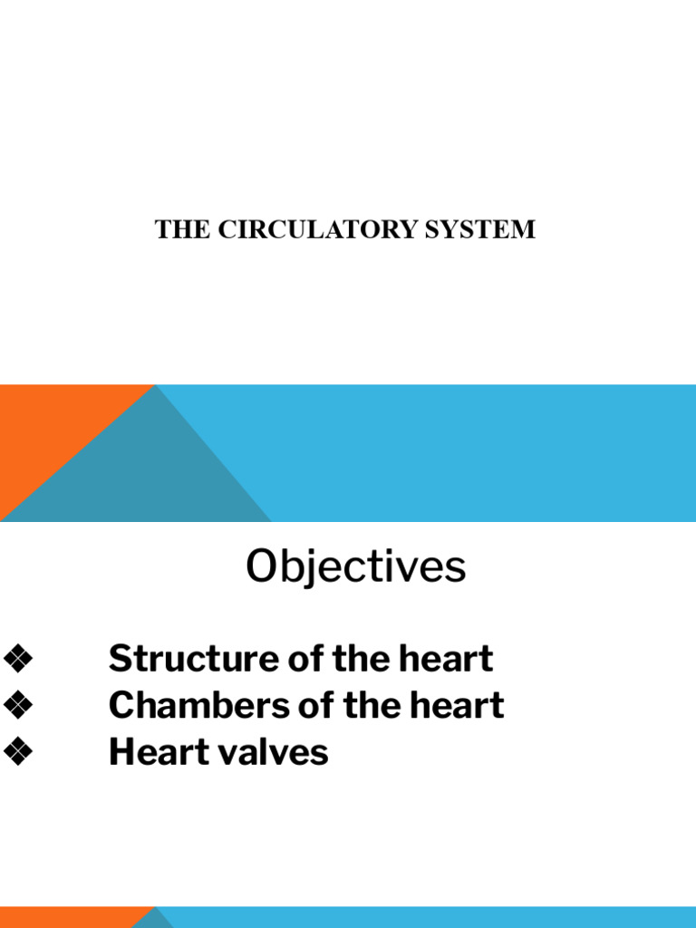 Grade 9 Powerpoint On Circulation | PDF | Heart Valve | Ventricle (Heart)