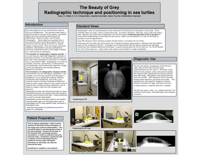 Radiographic Techniques for Sea Turtles | PDF | Radiography | Medical ...