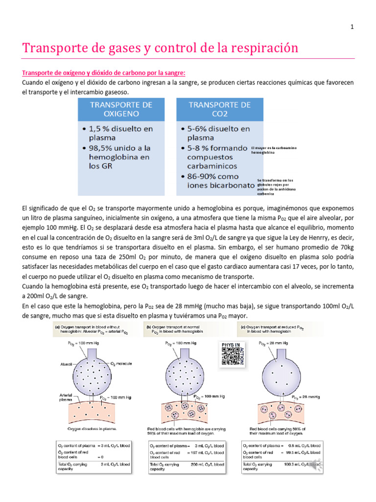 Transporte de Gases y Control de La Respiracion | PDF | Sistema ...
