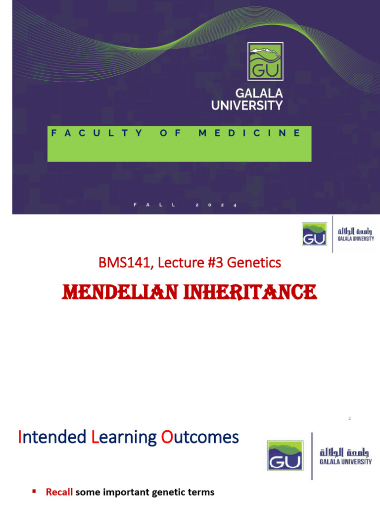 GU BMS141 ++lecture+3 Prof.+Ola+Khalifa 10 2024 | PDF | Genotype ...