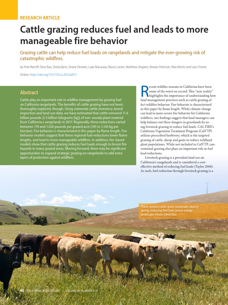 Cattle Grazing Reduces Fire Risk | PDF | Grazing | Cattle