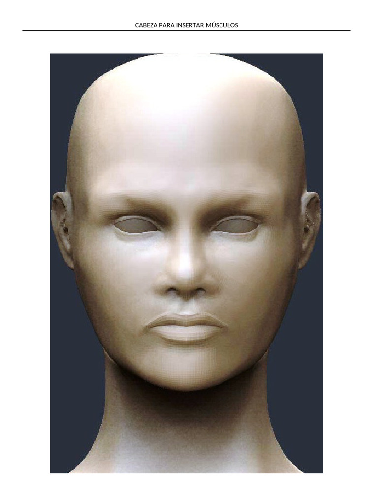 cabeza-para-dibujar-musculos-pdf
