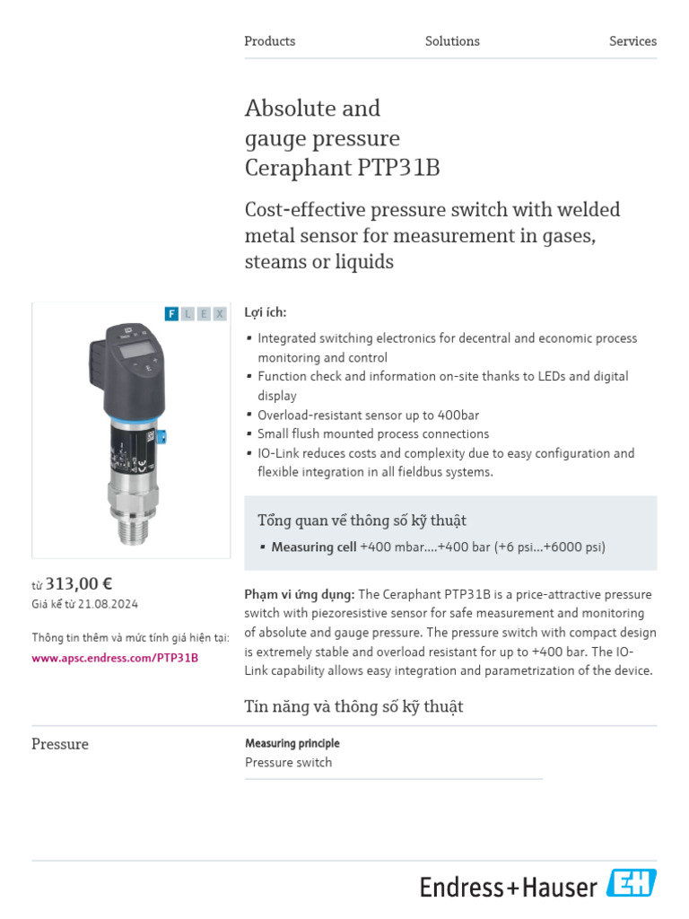 Endress-Hauser Ceraphant PTP31B VI | PDF | Pressure Measurement | Pressure