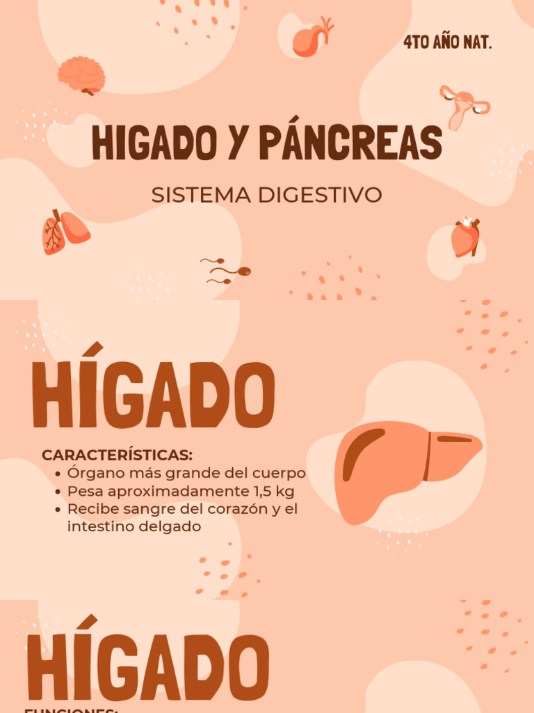 Copia de Copia de Science Subject For High School - 9th Grade - Human ...