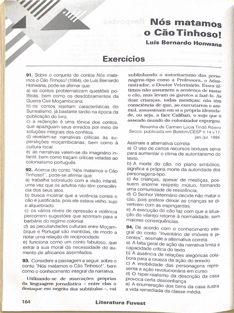 Questões de Nós Matamos o Cão Tinhoso | PDF