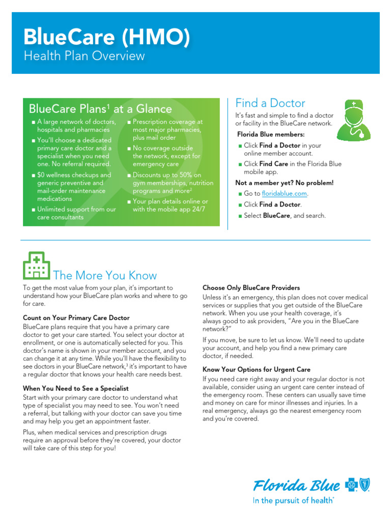 BlueCare HMO Health Plan Overview | PDF | Prescription Drugs | Health ...