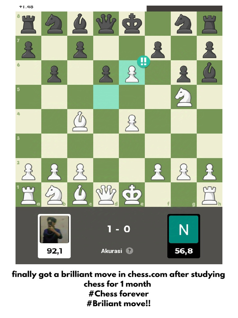 finally-got-a-brilliant-move-in-chess-after-studying-chess-for-1